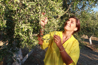 Elisabeth Tsapekis mit ihren Olivenbäumen