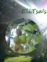 EliTsa's Logo